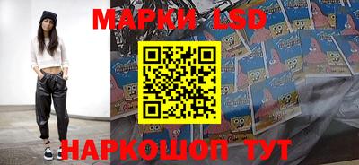 гидропоника Берёзовский