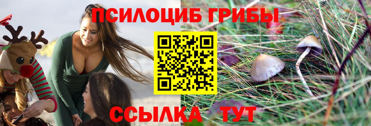 наркота  Вход с VPN  Белово  Псилоцибиновые грибы мицелий 