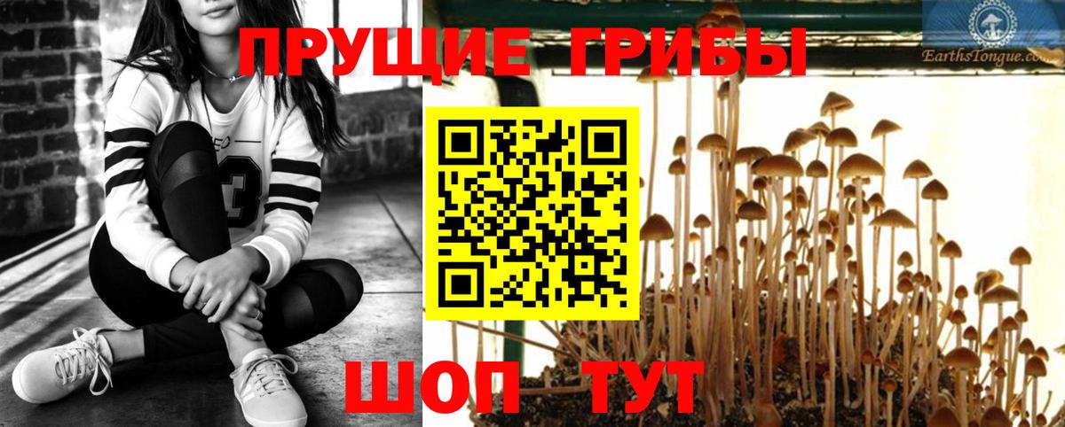 Галлюциногенные грибы Psilocybine cubensis Белово